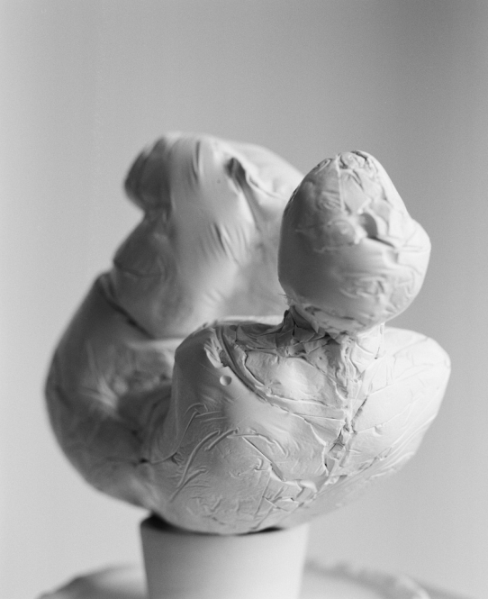 Liegende, Gips, L. 21 cm, 2007